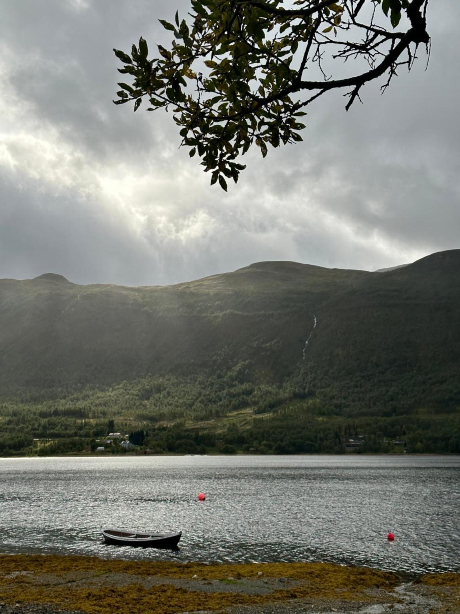 Cozy Fjord Retreat With Firepit And Activities Apartment Tromso Bagian luar foto